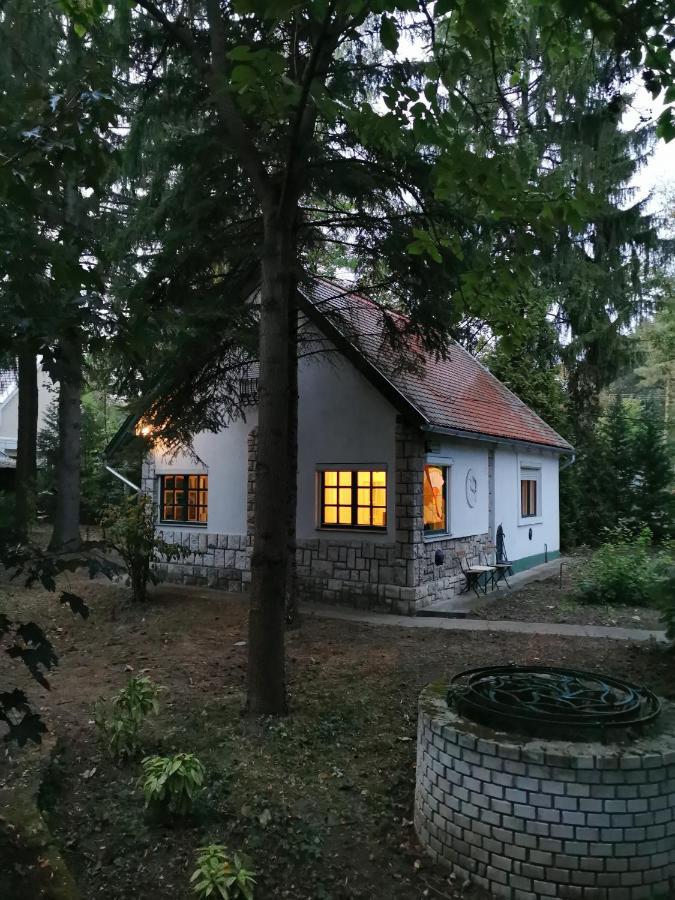 Irofeszek Vendeghaz Villa Zebegeny Luaran gambar